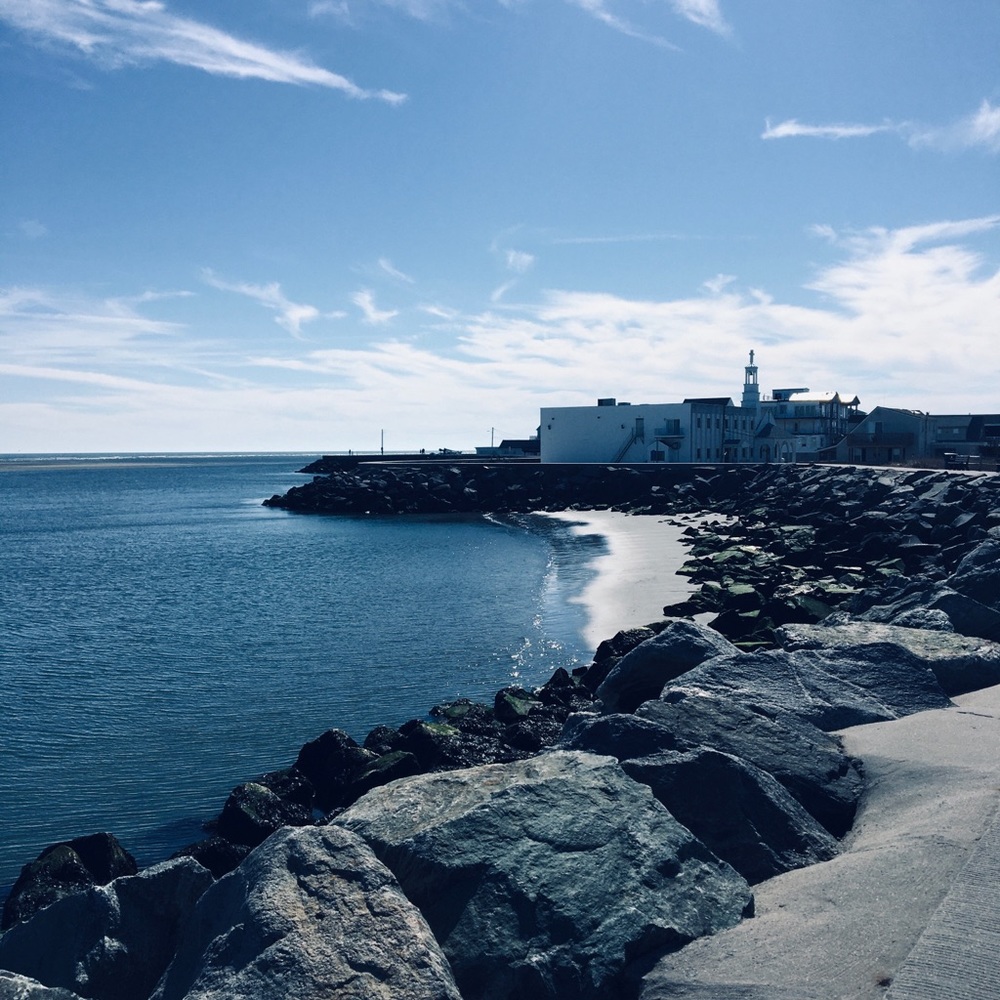 Meet your Posher, Mila